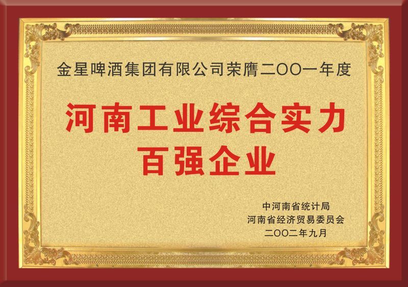 Tháng 9 năm 2002 vinh dự đứng trong top 100 doanh nghiệp có sức mạnh công nghiệp tổng hợp mạnh nhất tỉnh Hà Nam năm 2001